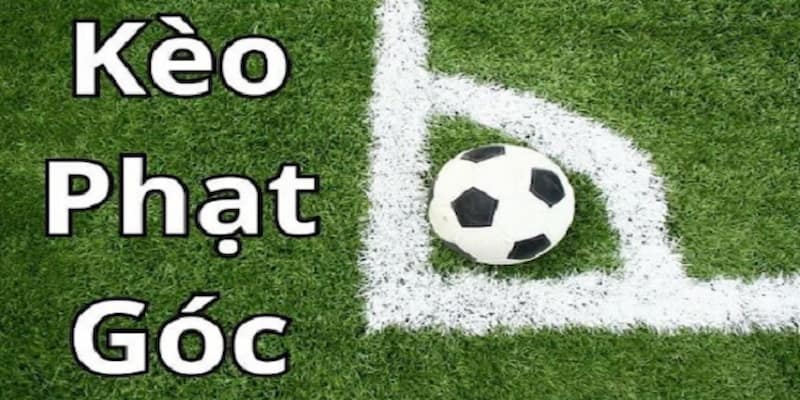 Kèo phạt góc Các hình thức cược phổ biến trong kèo phạt góc