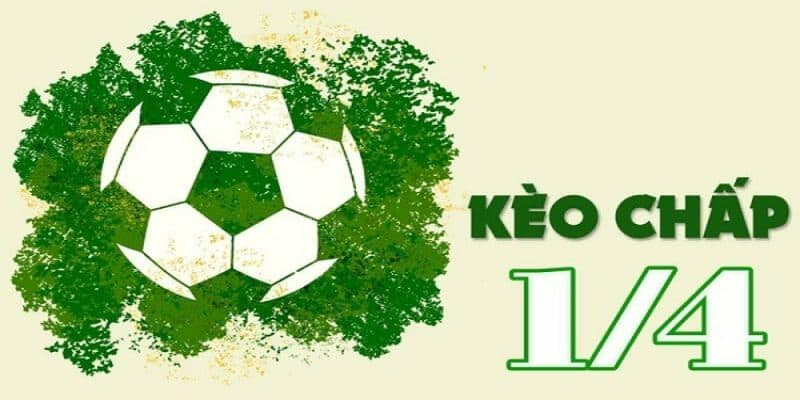 Tỷ lệ kèo 1/4 Cách đọc và tính tiền khi chơi tỷ lệ kèo 1/4