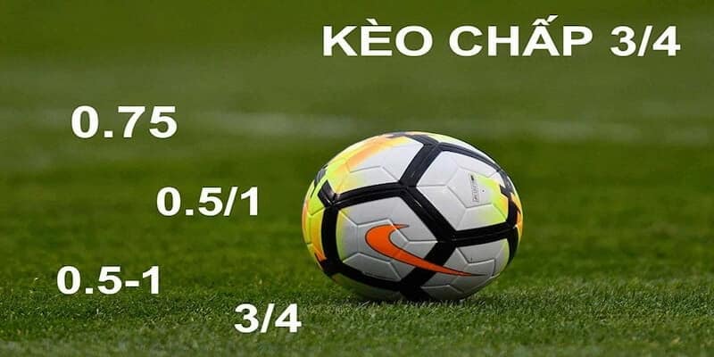 Tỷ lệ kèo 0.5 Khái niệm và cách đọc kèo chấp nửa trái