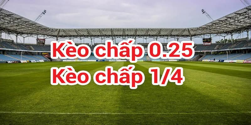 Tỷ lệ kèo 1/4 Những chiến thuật áp dụng hiệu quả khi chơi tỷ lệ kèo 1/4