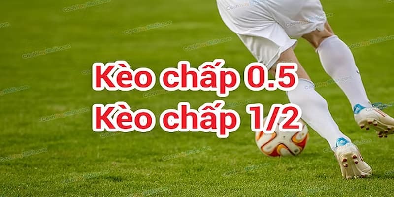 Tỷ lệ kèo 0.5 Những lưu ý khi chơi Tỷ lệ kèo 0.5