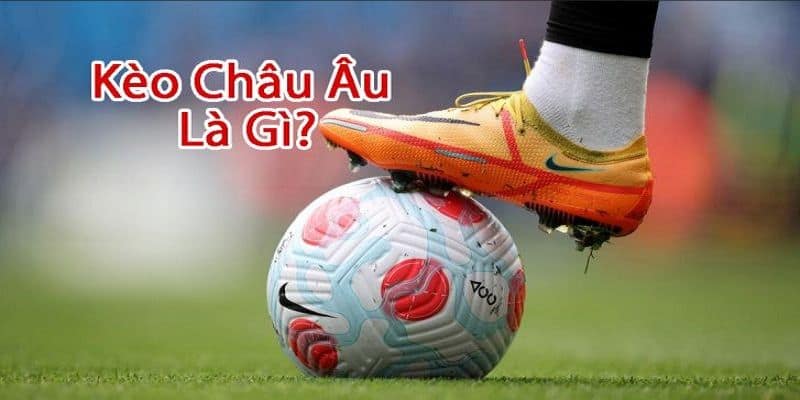kèo châu Âu So sánh kèo châu Âu với các loại kèo phổ biến khác