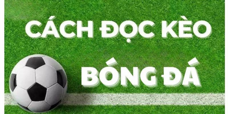 Cách đọc kèo bóng đá Cách đọc kèo bóng đá hiệu quả