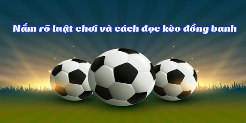 Tỷ lệ kèo đồng banh Hiểu đúng về kèo đồng banh