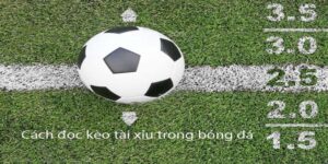 Mẹo bắt kèo chuẩn