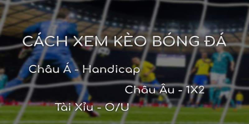 Cách xem kèo bóng đá Tác động của việc đọc kèo chính xác