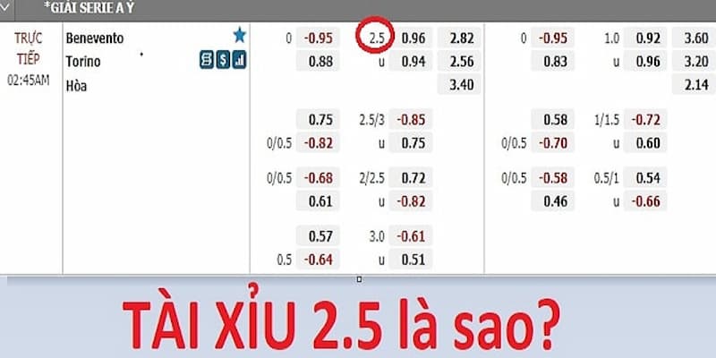 Tỷ lệ kèo 2.5 Tại sao tỷ lệ kèo 2.5 lại được quan tâm?