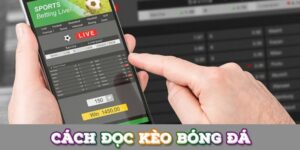 Cách xem kèo bóng đá