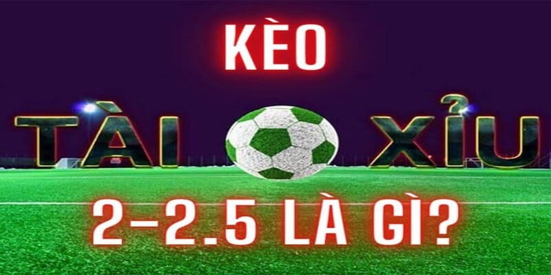 Tỷ lệ kèo 2.5 Ý nghĩa cơ bản của tỷ lệ kèo 2.5